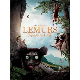 SJ-8065 马达加斯加：狐猴之岛