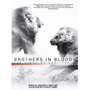 TW-0364 狮王之路 