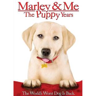 SJ-3376A 马利与我1-2