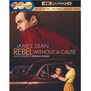 TM-W-1524 无因的反抗(1955)