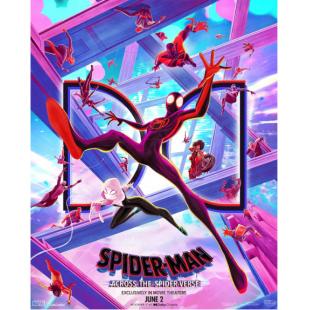 TW-3587	蜘蛛侠：纵横宇宙 