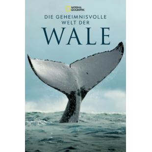 TW-2291	鲸鱼的秘密 