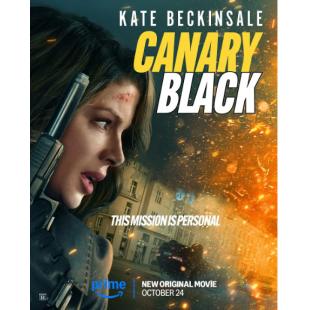 TW-4869	黑雀特工 