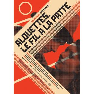 LJ-1845A 失翼灵雀（第2版）