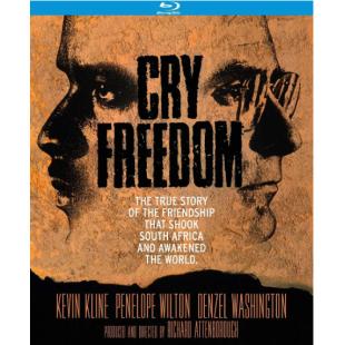 SJ-10356A 哭喊自由