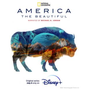 TM-R0421F 美丽美利坚(2碟)