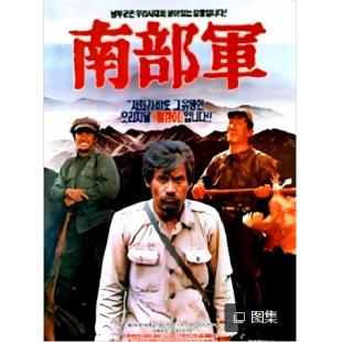 SJ-11204A 南部军 