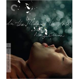 LBD-U0187 感官世界