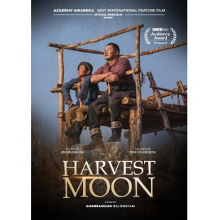 TW-3936	秋丰满月时 