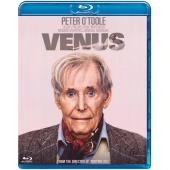 LJ-6293A 末路爱神