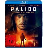 SJ-11638A 复仇杀神