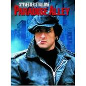 SJ-5235A 陋巷风云