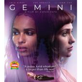 4GBD253753 双子谜情