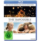 4GBD257121 海啸奇迹