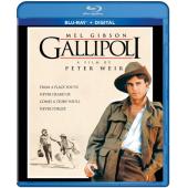 SJ-3294A 战火危城（纪念收藏版）（2BD）