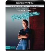 DT-81013 拳霸街头(1989)