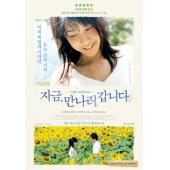 LJ-1325A 借着雨点说爱你【原始日本版】 