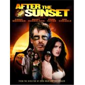 4GBD251077K 鬼胆神偷 