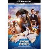 SJ-7650	汪星卧底 