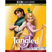 4GBD258231 魔发奇缘