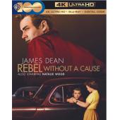 TM-W-1524 无因的反抗(1955)