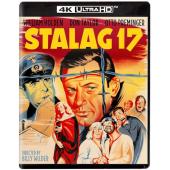 TM-R1642 战地军魂