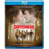 TM-1585	内战之痛 