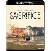 LG-M5517 安德烈·塔可夫斯基 第1-8部【原盘保留全部花絮】