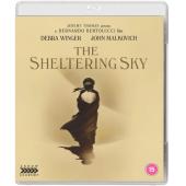 TM-W-0976 遮蔽的天空