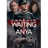 SJ-7943	等待安雅