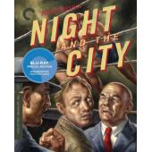 SJ-1812B 四海本色（第二版）