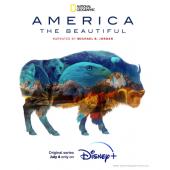 TM-R0421F 美丽美利坚(2碟)