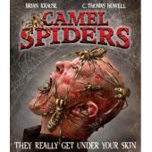 4GBD258908 骆驼蜘蛛