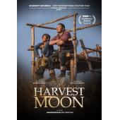 TW-3936	秋丰满月时