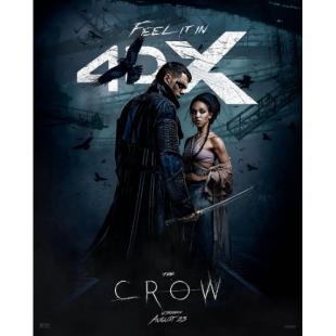 SJ-12073 乌鸦（2024版）