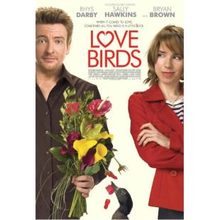 4GBD257658 爱情鸟