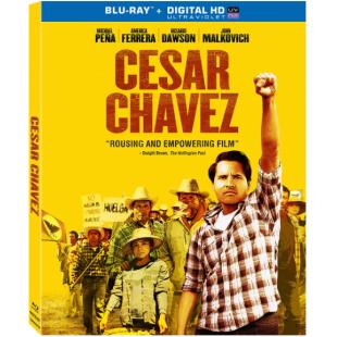 4GBD256271 凯撒·查韦斯