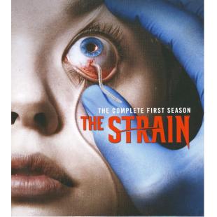 4GBD256544 血族（第一季）（三碟装）