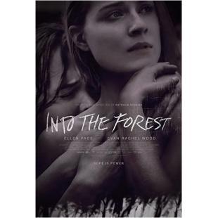 LBD-U5489 森林深处  