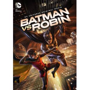 4GBD256824 蝙蝠侠大战罗宾