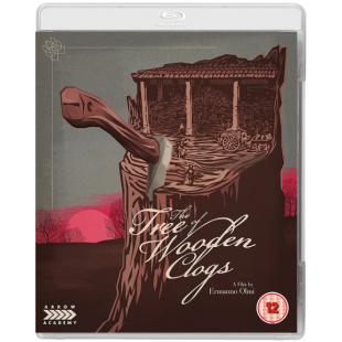 4GBD254009 木屐树