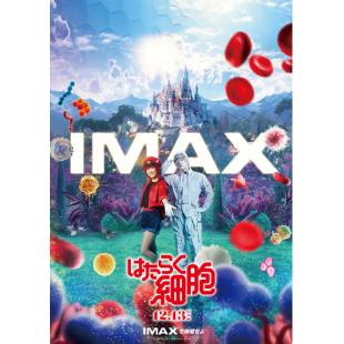 SJ-12788A 工作细胞 