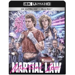 DT-91922 卧底飞龙(1991) 