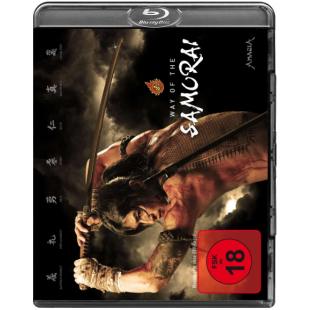 4GBD25A8918 山田长政：大城武士