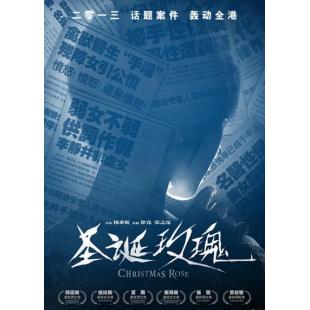 4GBD25C7619 圣诞玫瑰