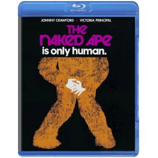 SJ-5934A 裸猿（2K灌录版） 