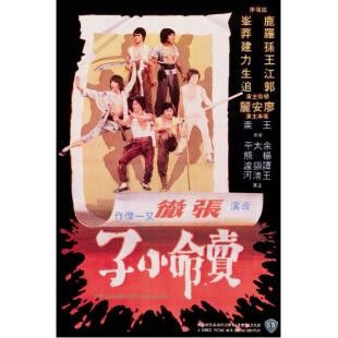 DT-91356X 卖命小子(1979) 