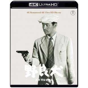 CJ【野良犬】1949 /8.3/剧情 / 惊悚 / 犯罪/25G/独家/Stray Dog/黑泽明经典之作