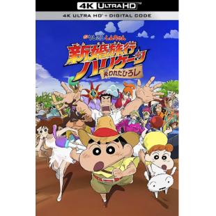 SJ-6307	蜡笔小新：新婚旅行飓风之遗失的野原广志 