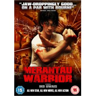 SJ-10242A 街头拳霸